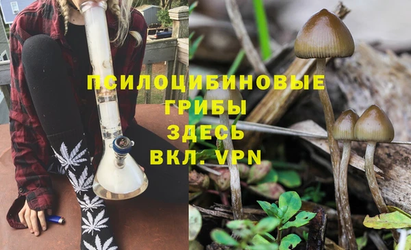 мяу мяу мука Беломорск