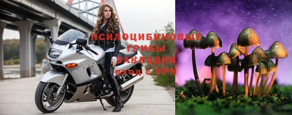 мяу мяу мука Беломорск