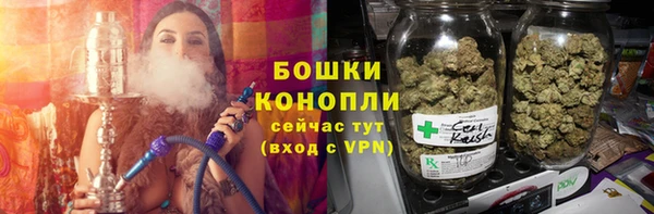 индика Балабаново