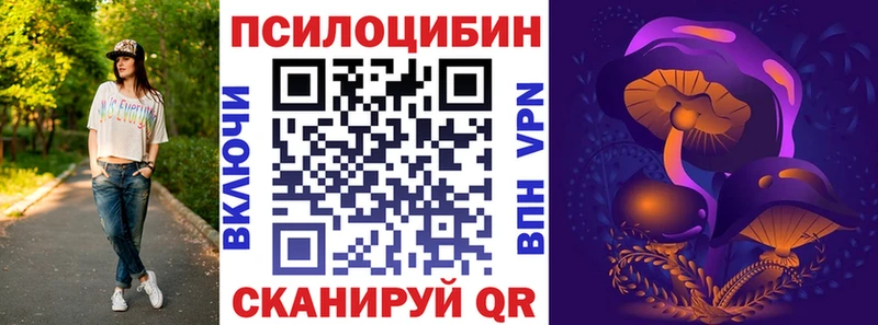 сколько стоит  Торопец  Галлюциногенные грибы мицелий 